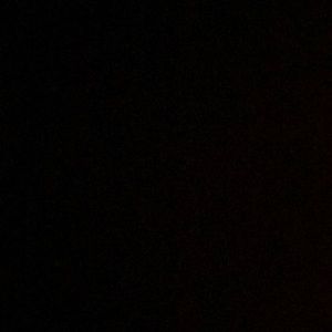 Meet your Posher, Selina